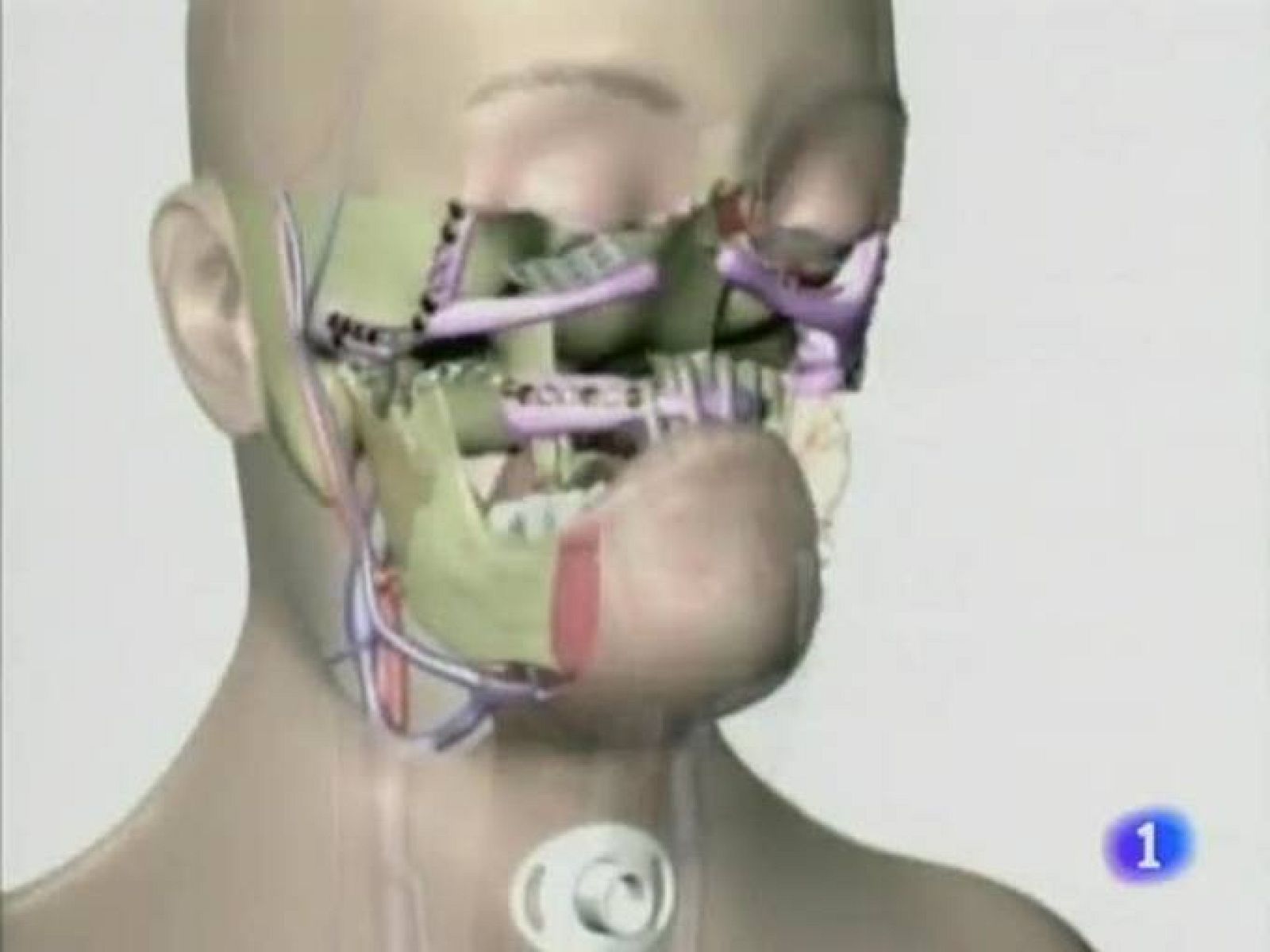 Noticias Andalucía (27/01/10)