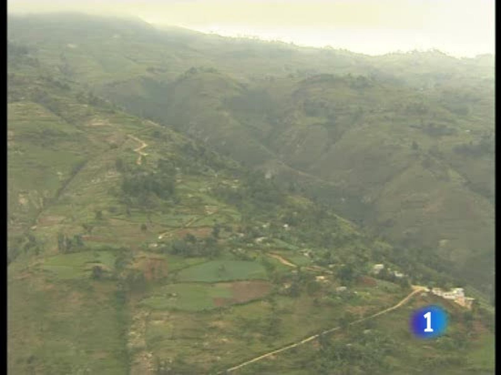 Muchos haitianos han abandonado las ruinas de Puerto Príncipe hacia las zonas agrícolas | Ver