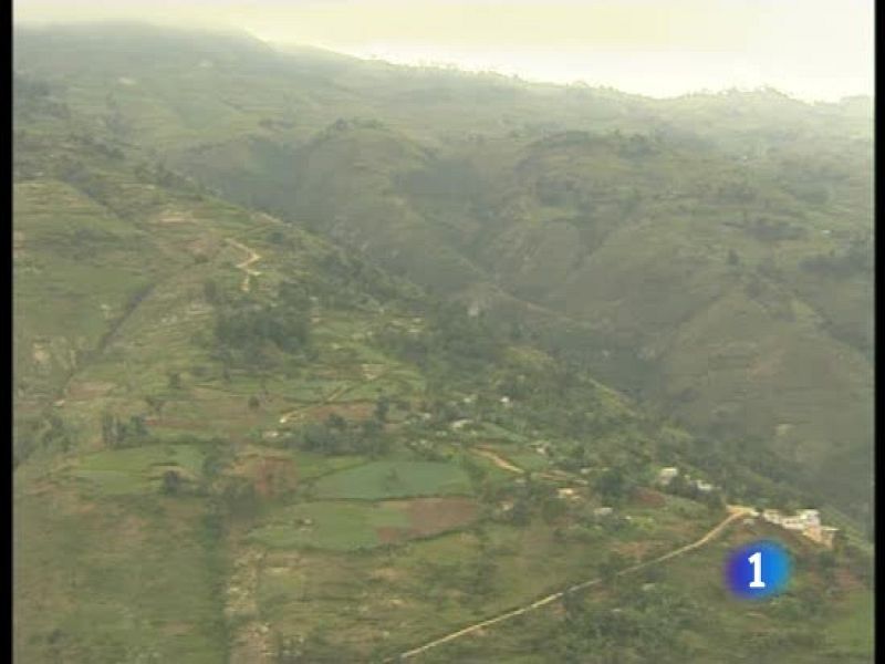 Muchos haitianos han abandonado las ruinas de Puerto Príncipe hacia las zonas agrícolas | Ver