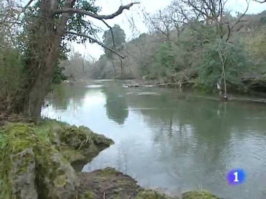 TeleCantabria - Telecantabria - 27/01/10