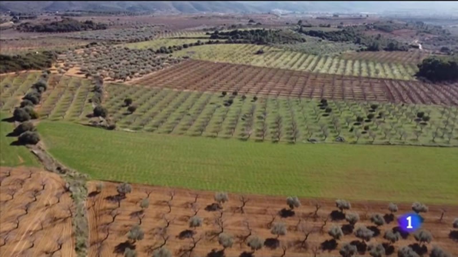 L'informatiu Comunitat Valenciana 2 - 25/01/2023 ver ahora