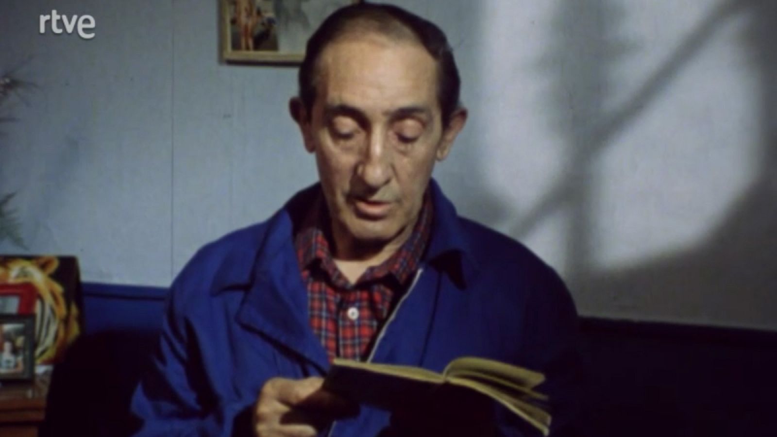 Escalera exterior, escalera interior - Aves migratorias - Escalera exterior, escalera interior | Ver