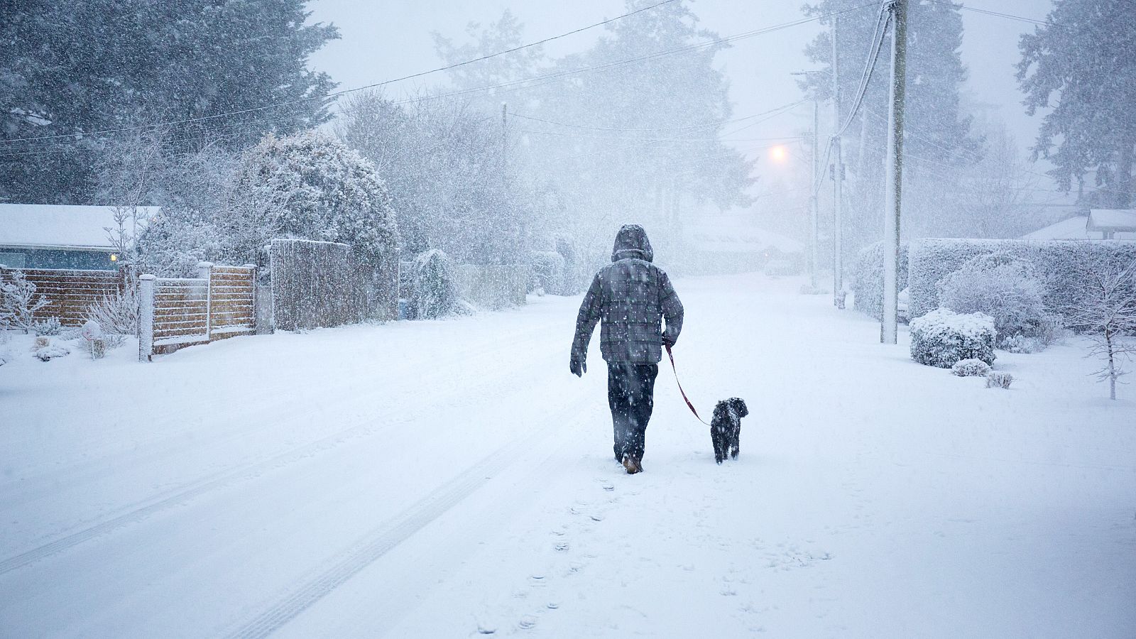 ¿Por qué no nos afecta a todos el frío por igual? | Ver