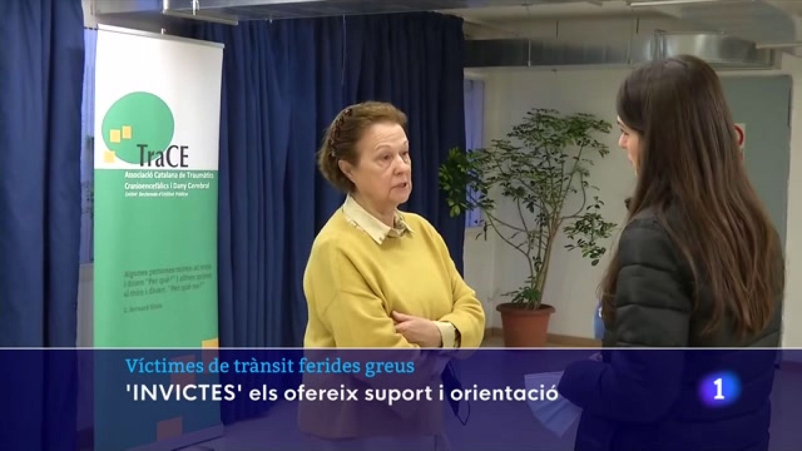 El Departament d'Interior i Drets Socials presenta el projecte 'Invictes'. - L'Informatiu | Veure