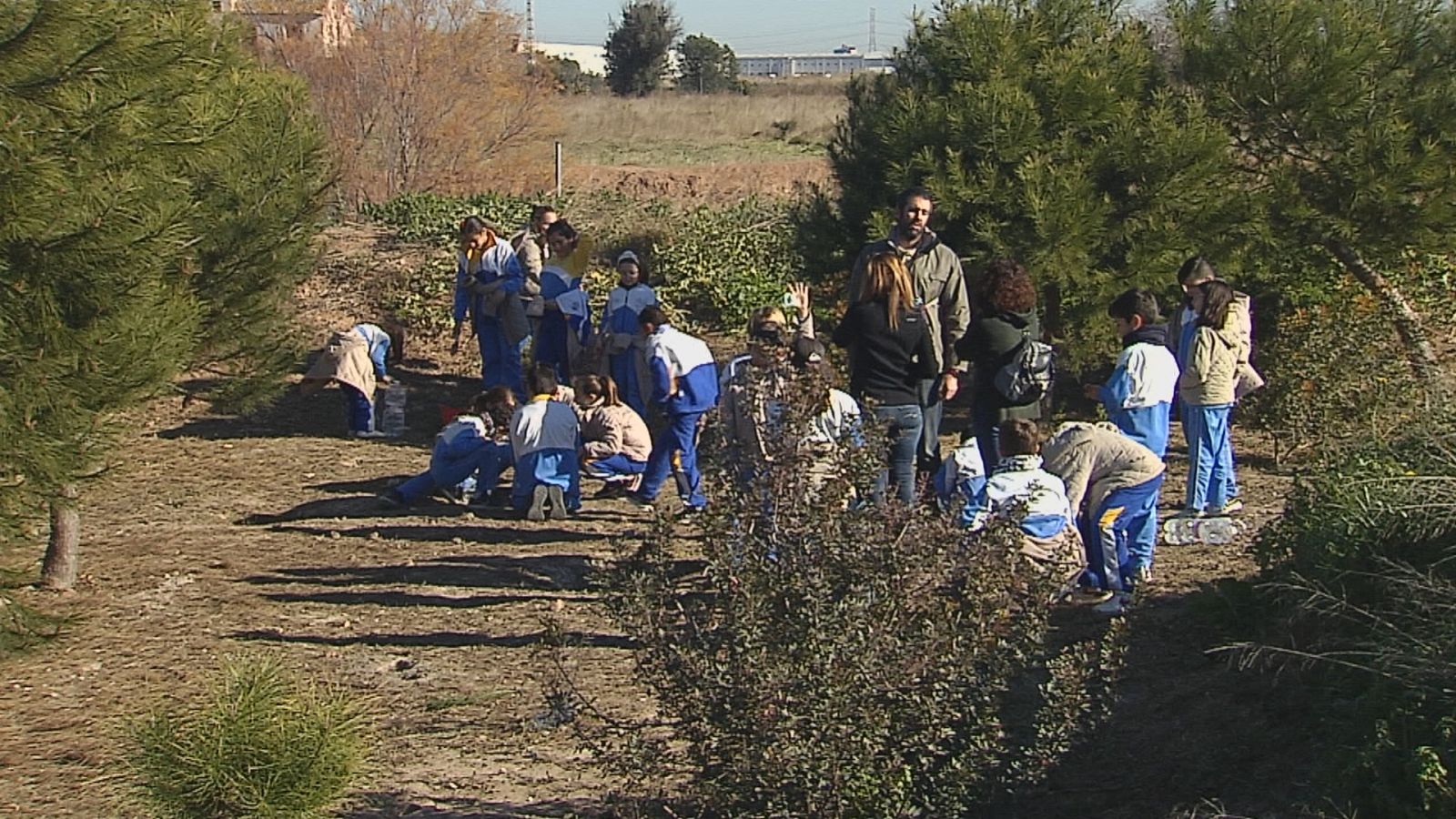 La importància de l'educació mediambiental en la infància