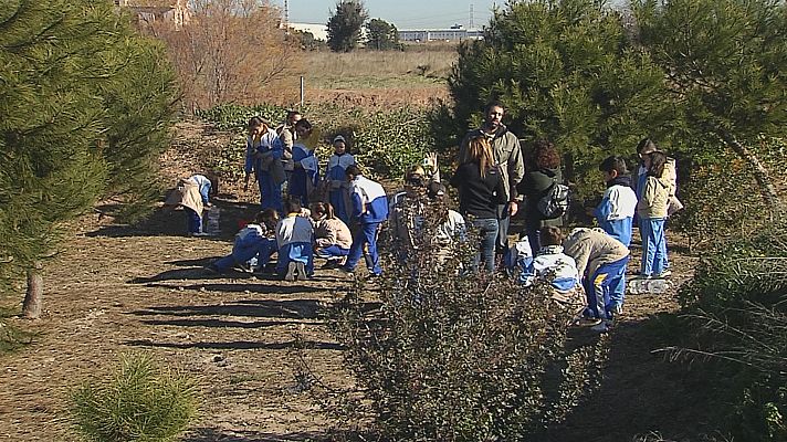 L'informatiu - Comunitat Valenciana - La importància de l'educació mediambiental en la infància