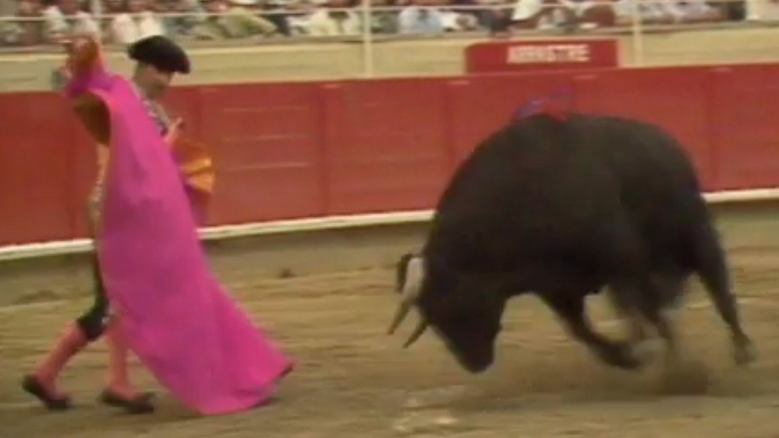 Únics - Joaquín Bernadó - Veure ara