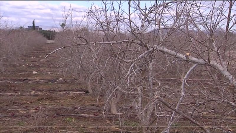 L'Informatiu de la Comunitat Valenciana 1 - 27/11/23 ver ahora