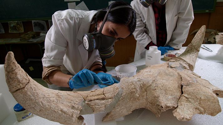 Telediario 1 - Un nuevo hallazgo desentraña las ceremonias simbólicas de los neandertales