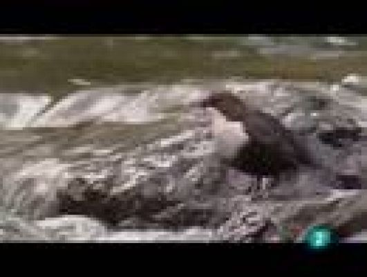 Espacios naturales - Espacios naturales - Las tareas del agua - El río de la vida