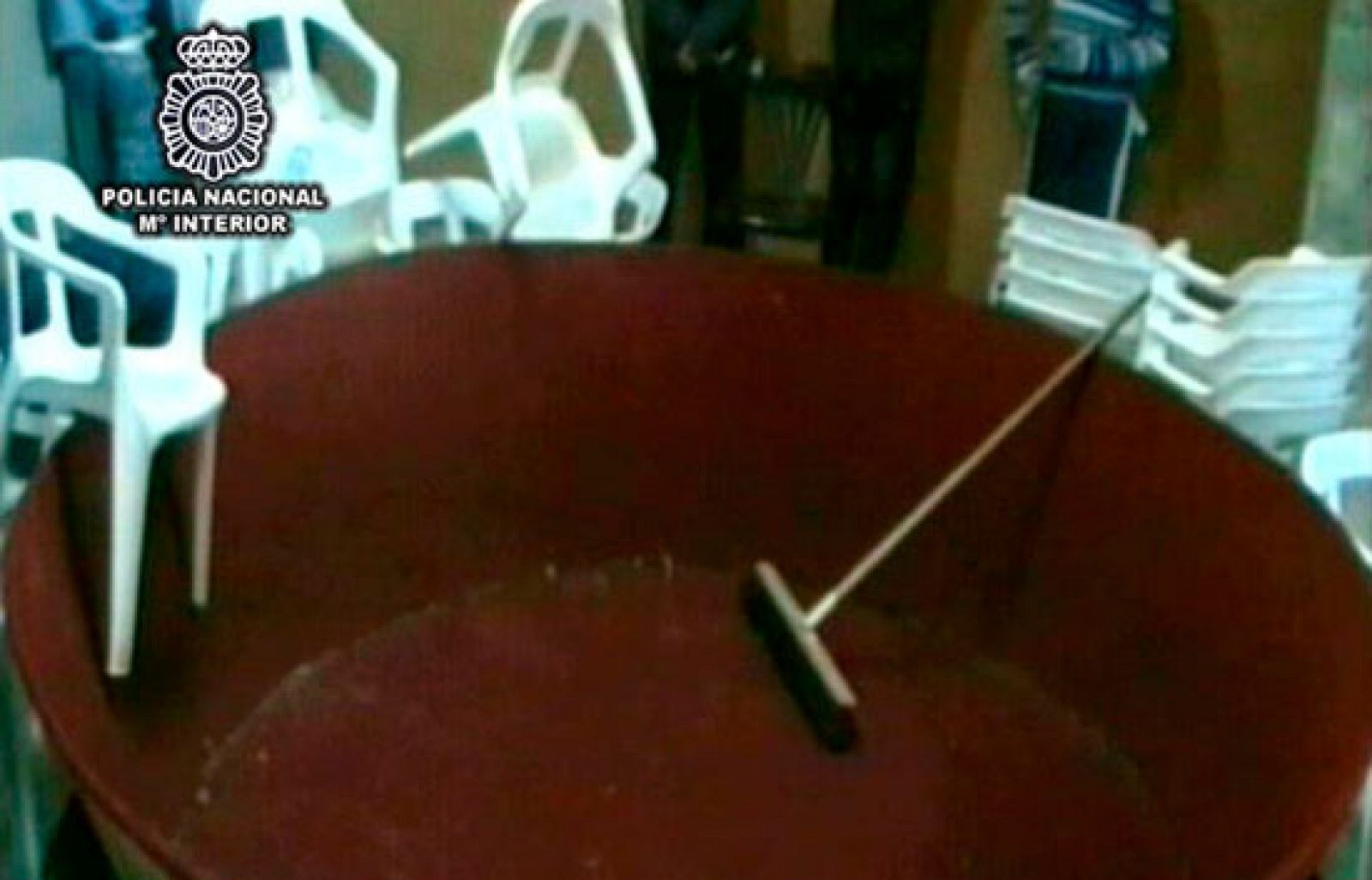 Desmantelada en Castellón una casa de apuestas que organizaba peleas de gallos dopados | Ver