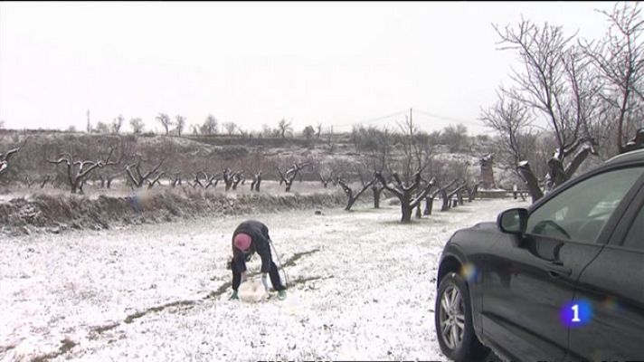 L'informatiu - Comunitat Valenciana - L'Informatiu Comunitat Valenciana 2 - 30/01/23