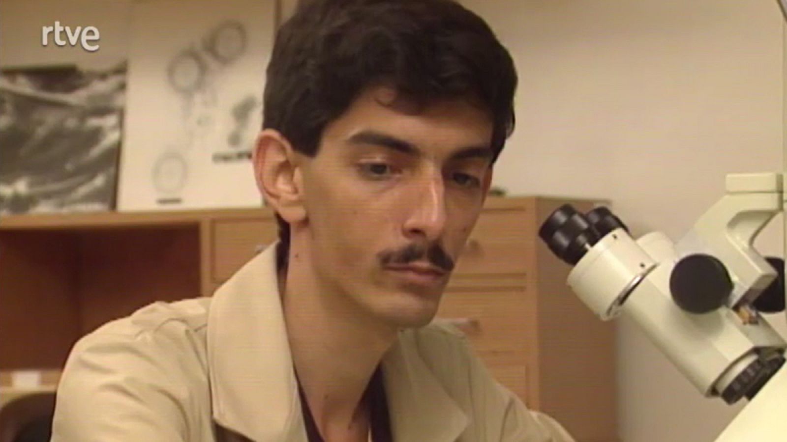 Equinoccio - Made in - Equinoccio | Ver