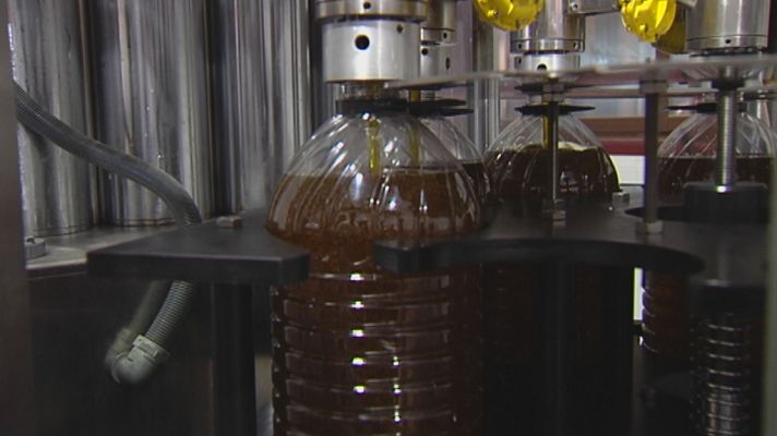 Noticias Andalucía - La peor cosecha de aceituna del siglo