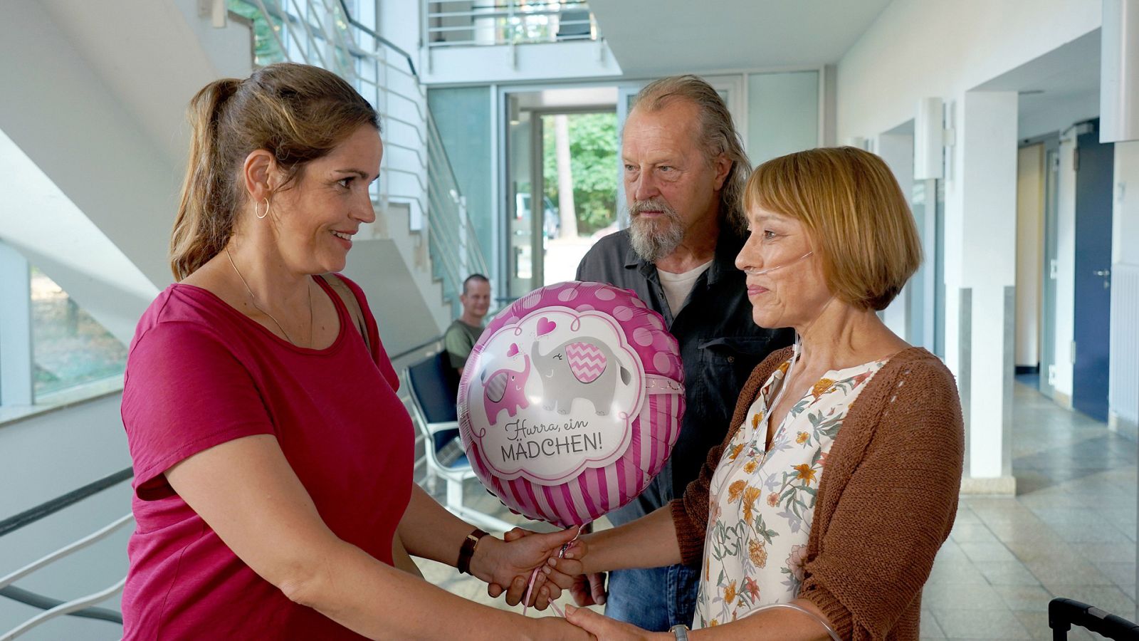 Cine - En cuerpo y alma - Ver ahora