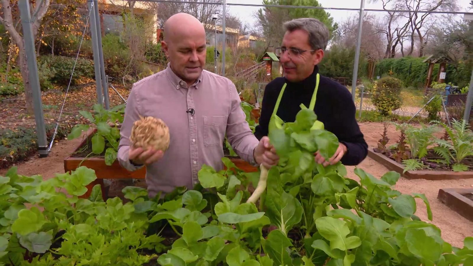 Aquí la Tierra - 01/02/23 - ver ahora