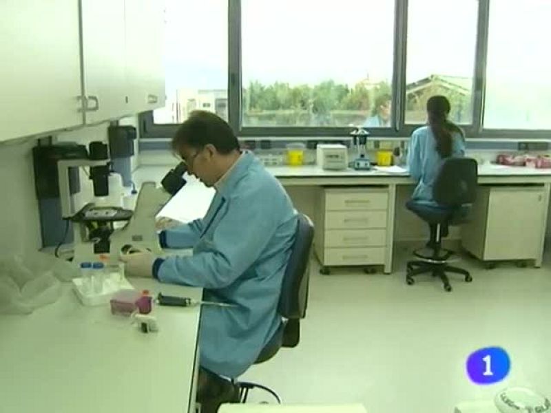 Telenorte. Informativo del País Vasco. (28-1-10)