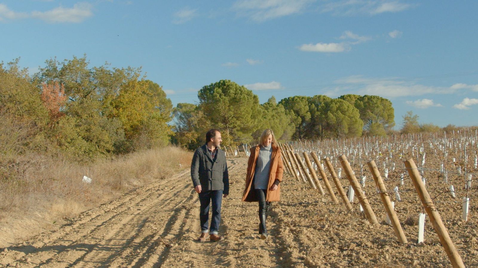 Mapes mentals - Les relacions tòxiques - Veure ara