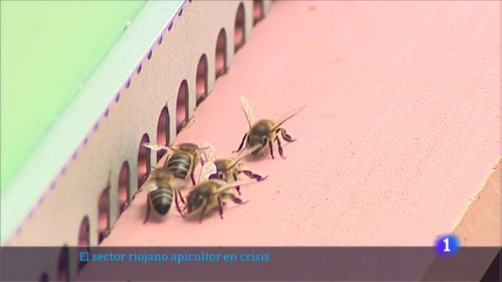 Informativo Telerioja - Informativo Telerioja  - 02/02/23