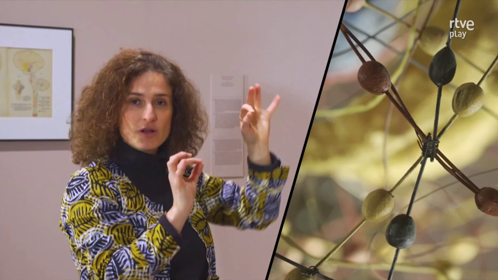 Culturas 2 - Exposición 'Cerebro(s)' con Nazareth Castellanos y Ricardo Solé - Culturas 2 | Ver