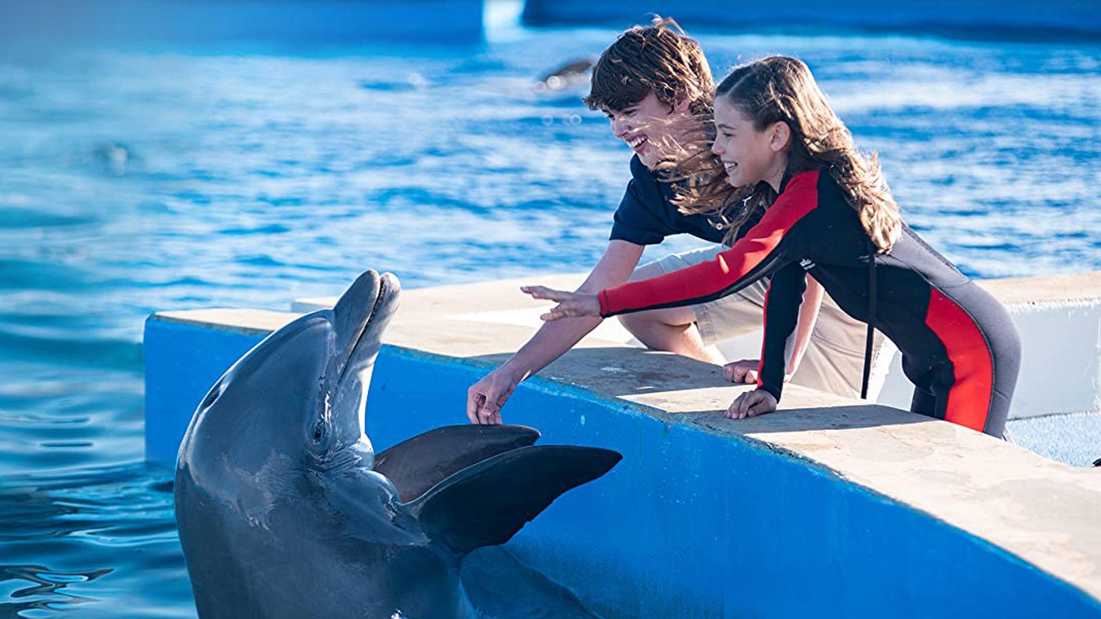 Cine infantil - Bernie, el delfín - Ver ahora