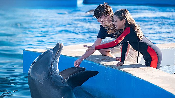 Cine internacional - Bernie, el delfín