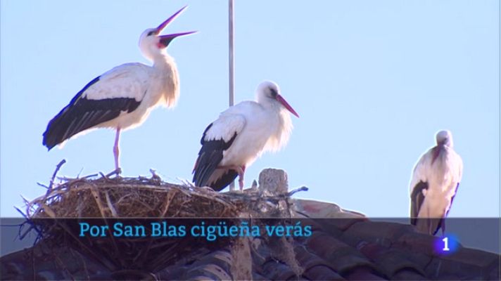 Informativo Telerioja - Informativo Telerioja  - 03/02/23