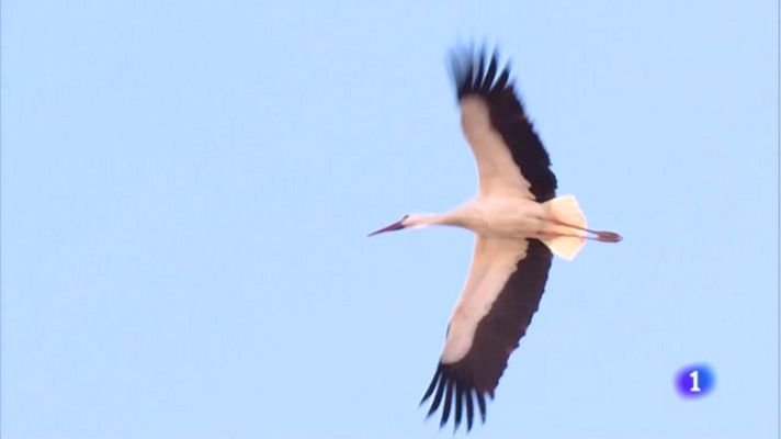 Informativo Telerioja - Telerioja en 2'- 03/02/23