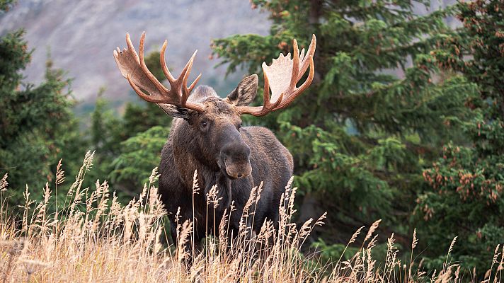 Edén, paraísos remotos - Alaska: La última frontera