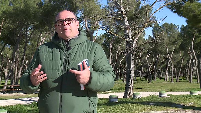 Testimonio - Gente de Dios - ver ahora