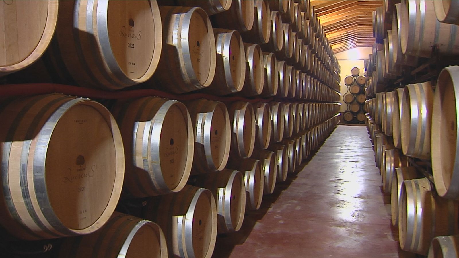 Agrosfera - 04/02/23 - ver ahora