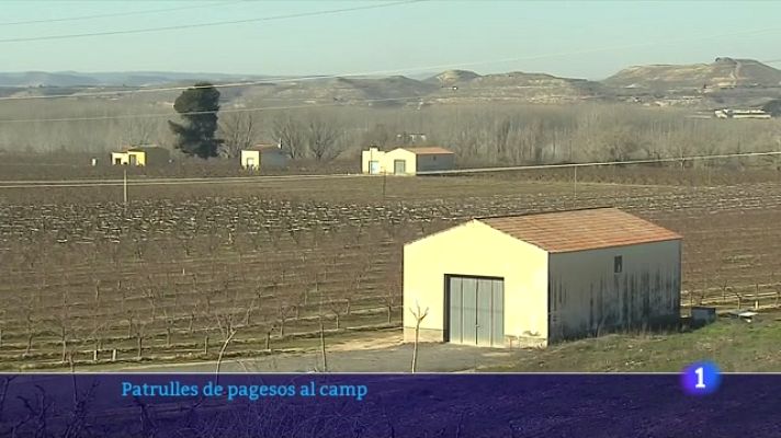 L'Informatiu - Els pagesos s'organitzen per evitar robatoris