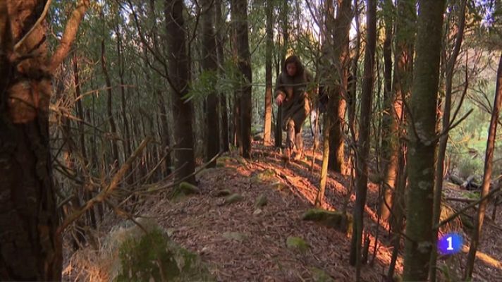 Telediario Fin de Semana - Castro Valente, una de las fortalezas más grandes de Galicia