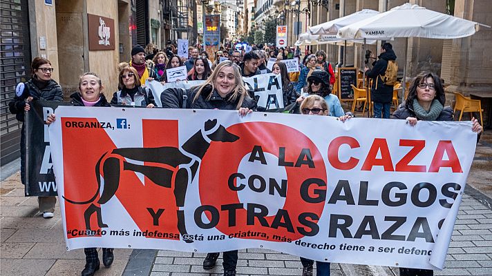 Telediario Fin de Semana - Manifestantes piden la inclusión de los perros de caza en la Ley de Bienestar Animal