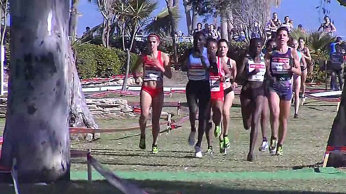 Cross - Copa de Europa de Clubes. Carrera Senior Femenina