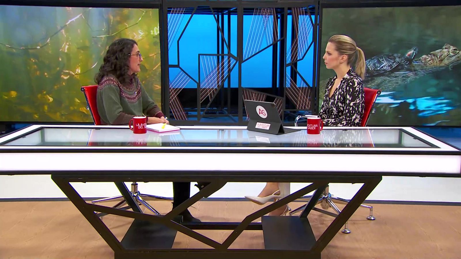 La aventura del saber - 30/01/23 - Lengua de signos - ver ahora