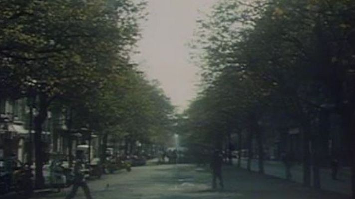 Arxiu TVE Catalunya - Cop d'ull als arbres de Barcelona