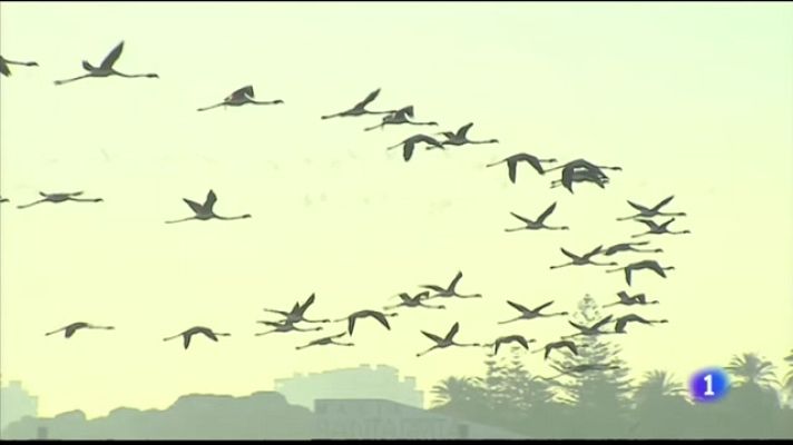 L'informatiu - Comunitat Valenciana - L'Informatiu de la Comunitat Valenciana 2 - 06/02/23