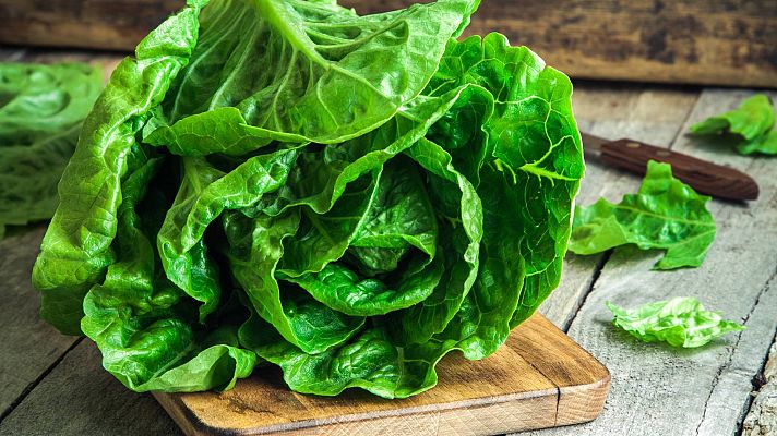 Saber vivir - Mitos y beneficios de los tipos de lechuga