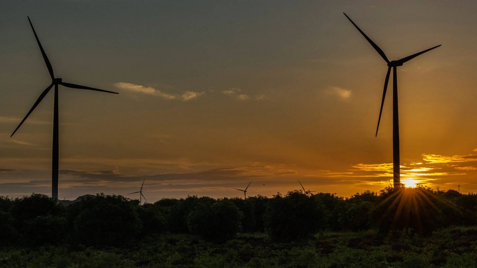 Las eléctricas lanzan una campaña divulgativa