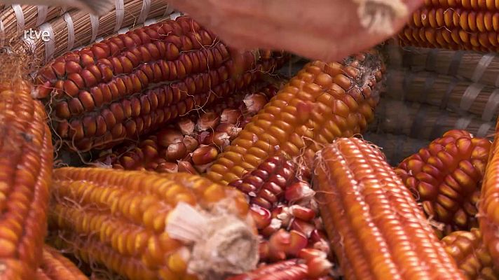 Aquí la Tierra - Aquí la Tierra - 07/02/23