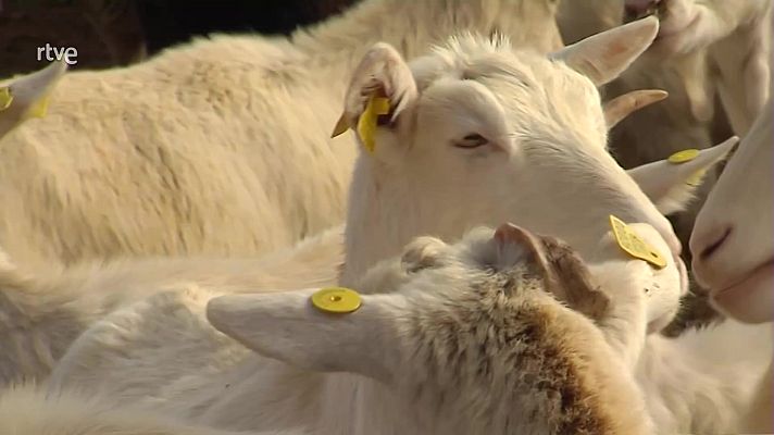 La economía - La economía - 08/02/23