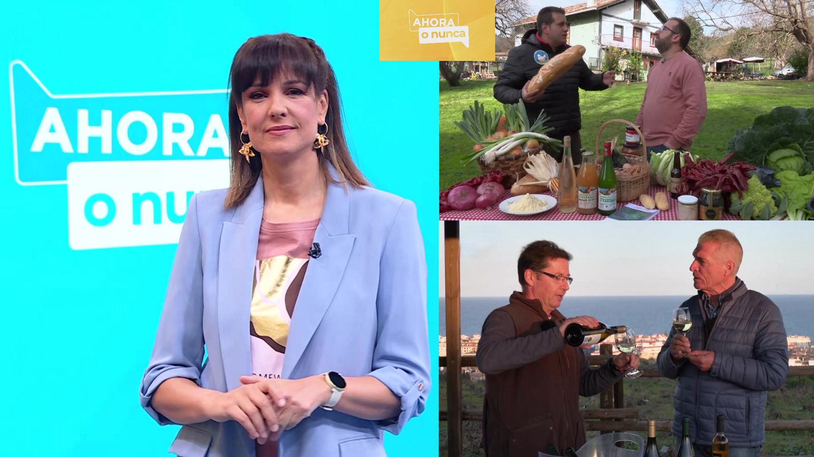 Ahora o nunca - Programa 13 - ver ahora