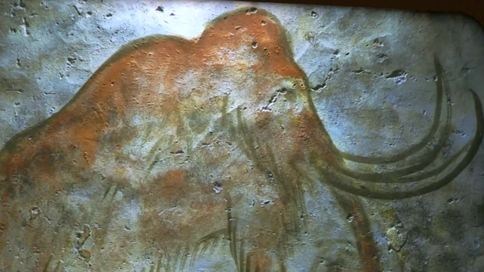 Objetivo Planeta - ¿Es posible la 'desextinción'? - ver ahora