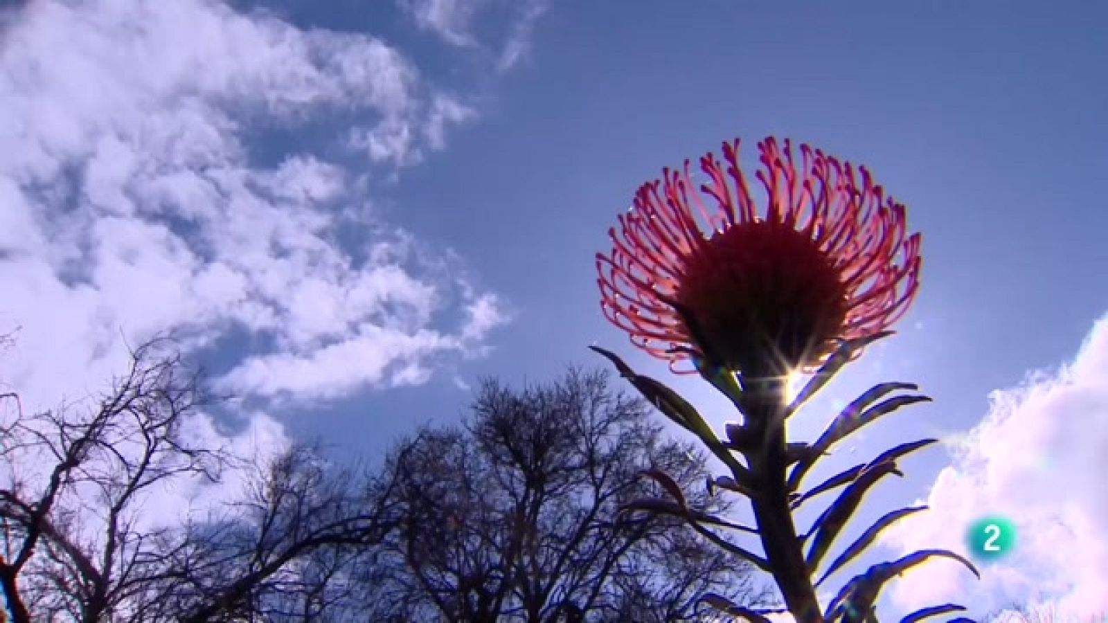 Telecanarias 2 - 10/02/2023