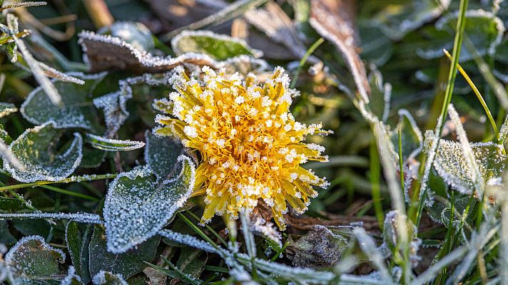 El tiempo - La semana comienza soleada y con heladas en el norte y en el sureste del país