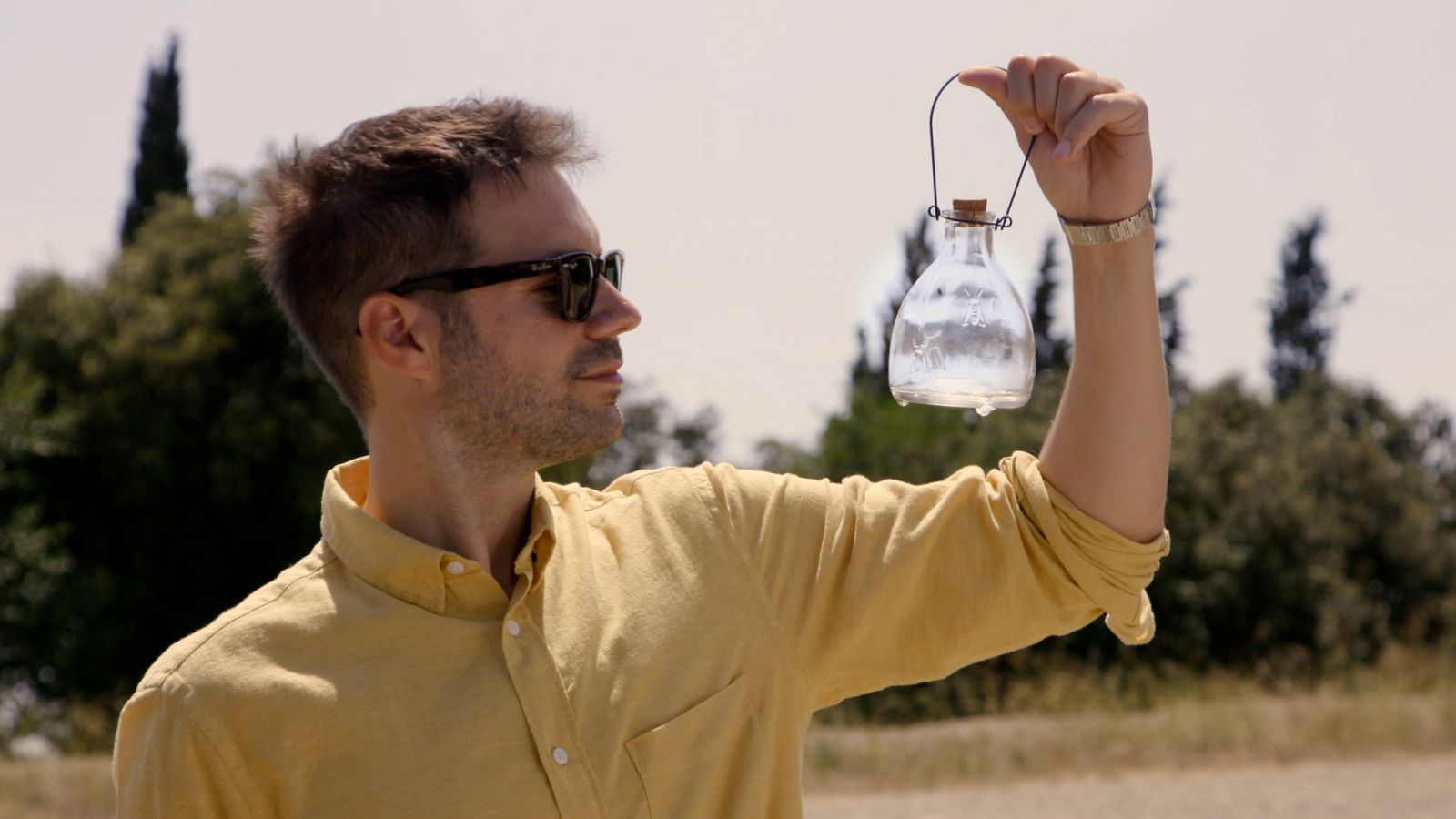 This is Philosophy - Wittgenstein - ver ahora