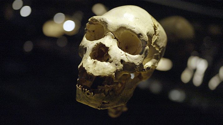 Ciencia Maps - Ciencia Maps | Cap 2: CENIEH | Avance