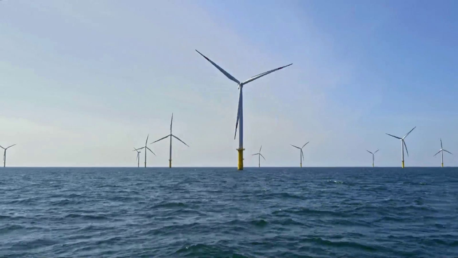 Ciencia Maps |  Capítulo 4: La Plataforma Oceánica de Canarias  | Avance - Ciencia Maps | Ver