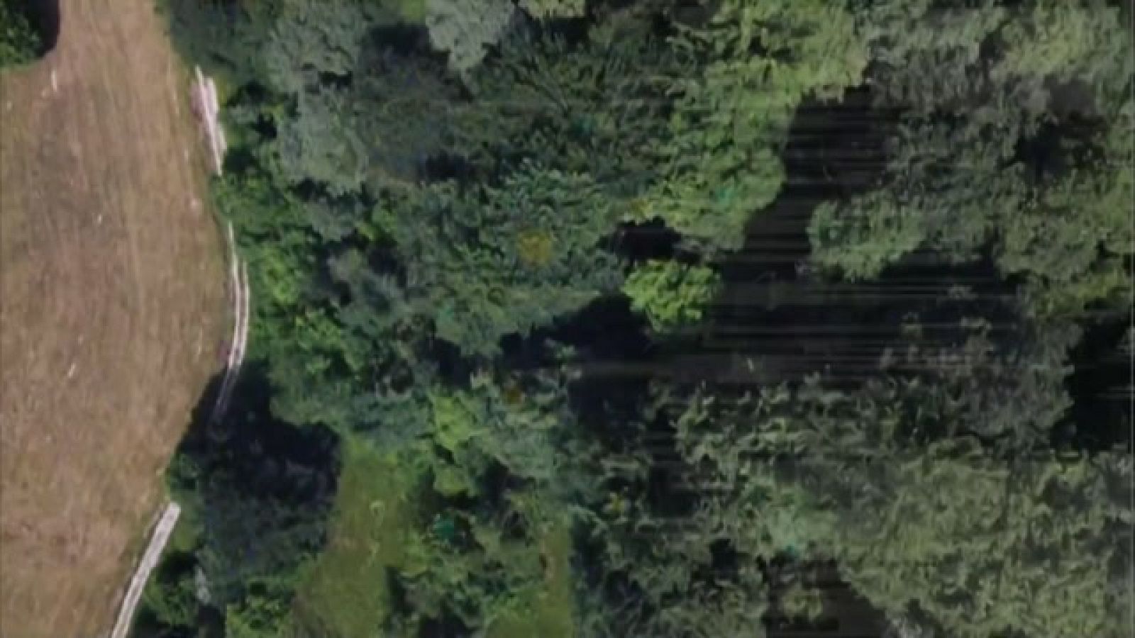 Telecantabria - 16/02/23